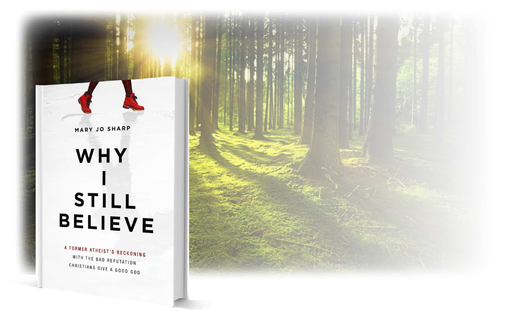 Mary Jo Sharp’s book Why I Still Believe